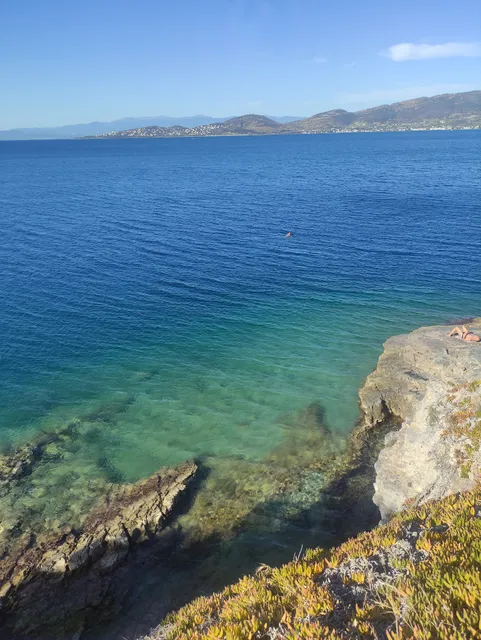 Nereus Winter Swimmers Club