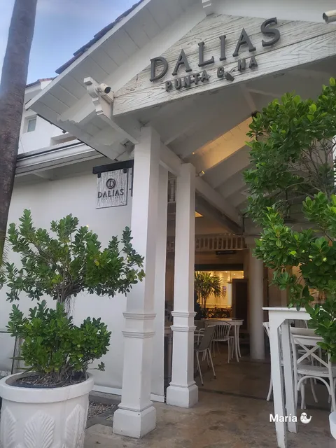 Dalia's Cafe & Bakery