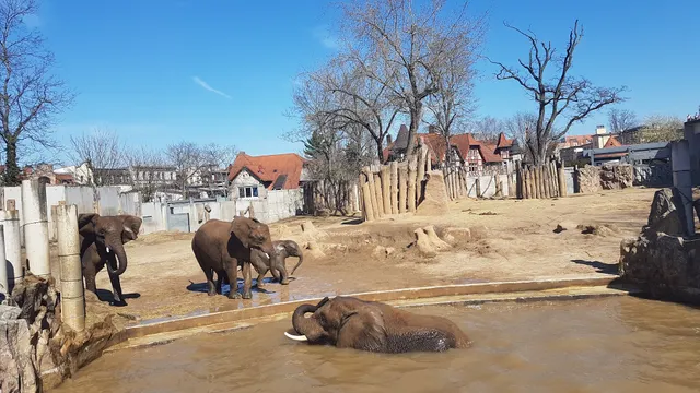 Zoologischer Garten Halle (Bergzoo)