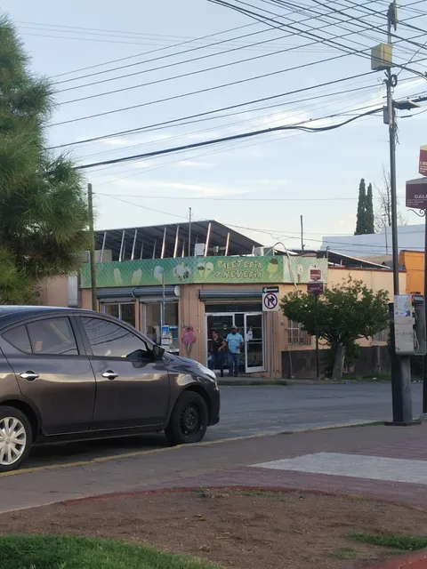 Paletería La Cascada