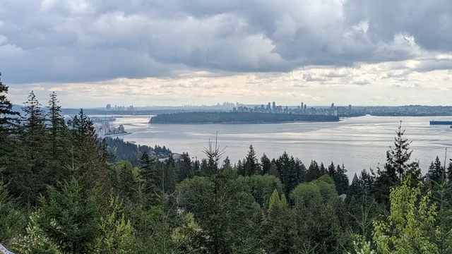 Cypress Village Pop-Up Lookout