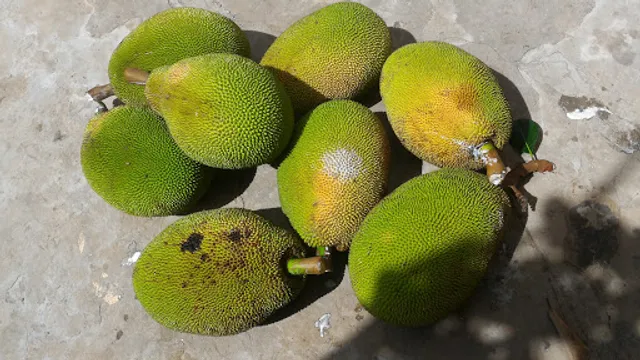 Eladios Bar e Lanchonete e Restaurante