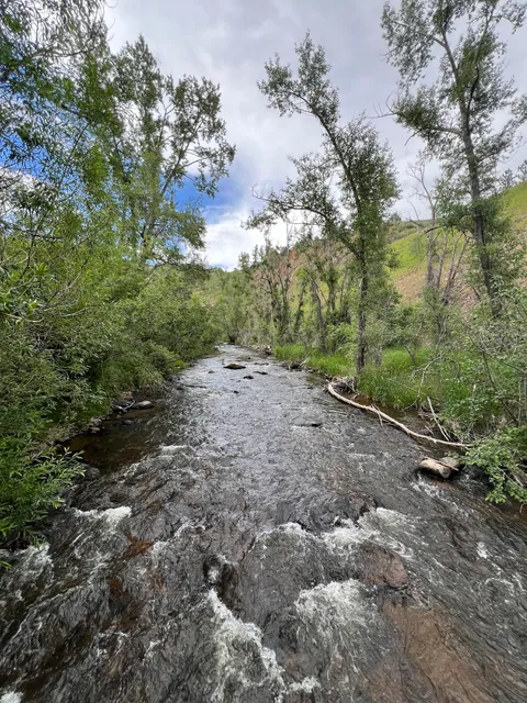 Trailhead Lair o the Bear