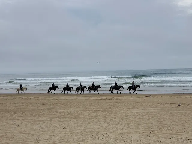 Pacific Dunes Riding Ranch