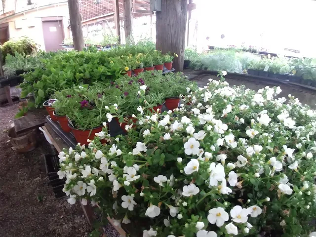 Leupold Greenhouse & Orchard