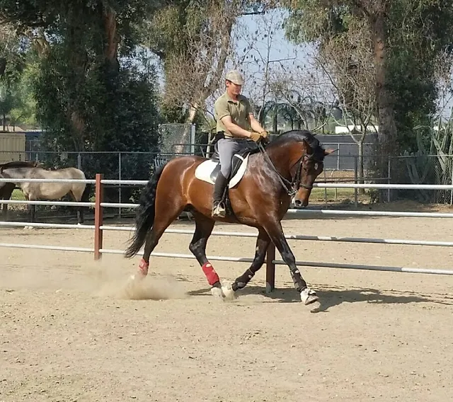 Placeres del Oro Ranch