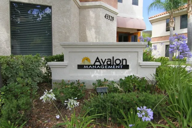 The Avalon Management Group, Inc.