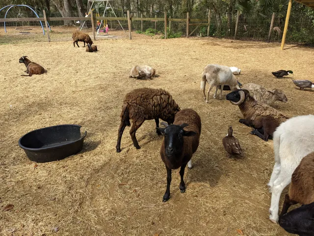 Branchton Farms Produce