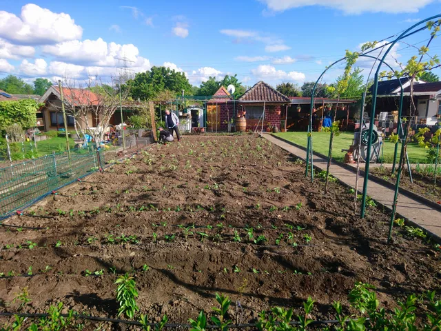 Kleingartenverein Ladenburg e.V.