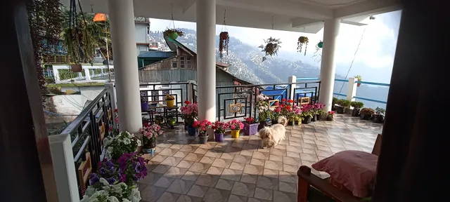 Valley View Homestay