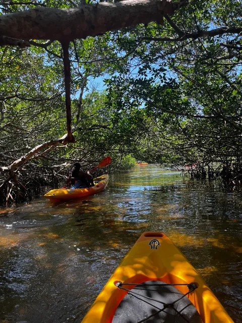 NautiKayak adventure tours