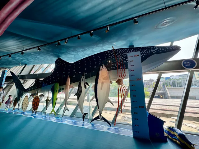 Marine Science Gallery, NMMST