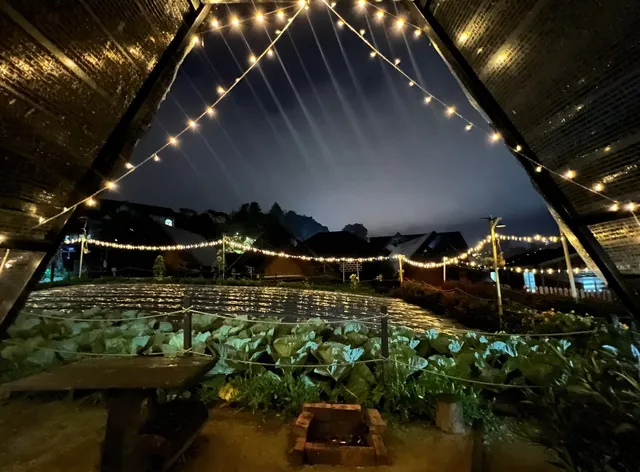 The Backyard Glamping Cameron Highlands