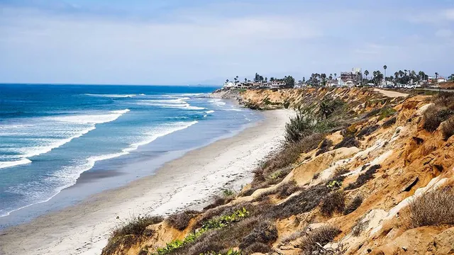 Seashore on the Sand
