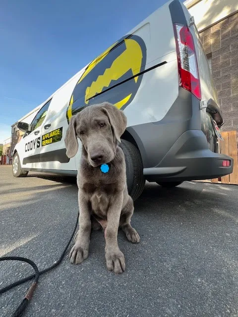 Cody's Appliance Repair Eagle ID