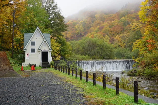 Shirakami-Sanchi Autumn Foliagesight