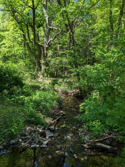 Trout Brook Valley Preserve