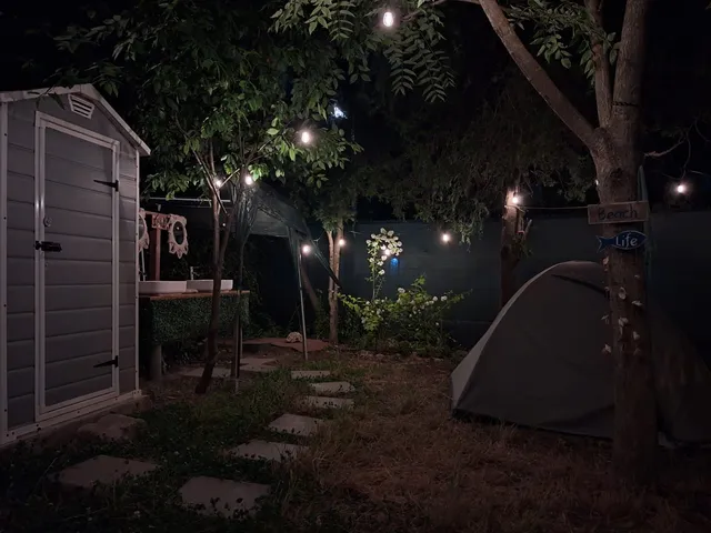 Curtea Pescărușului