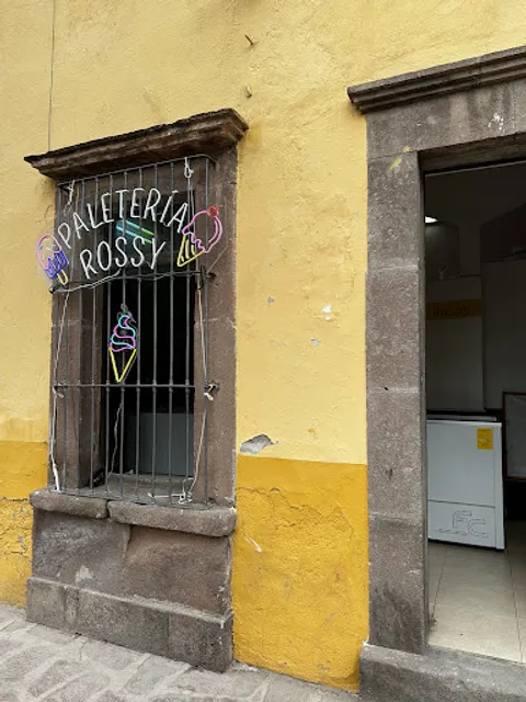 Paletería Rossy Centro Villa de Pozos