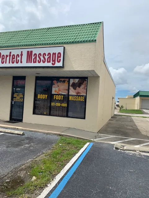 Perfect Massage MM37575