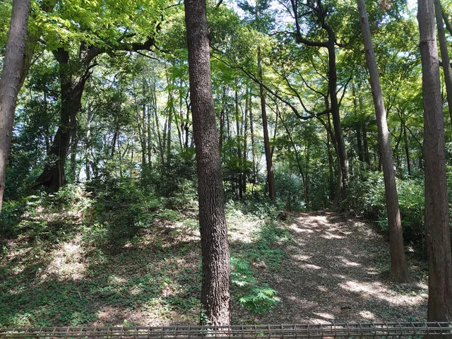 Site of Shakujii Castle