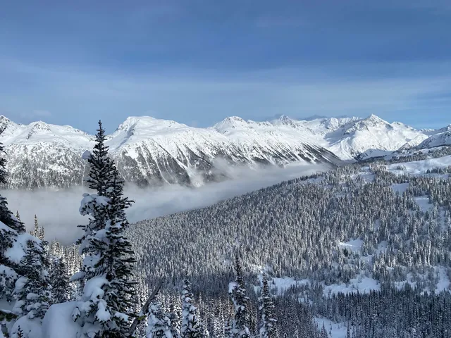 Altus Mountain Guides