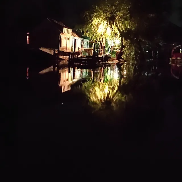 Houseboat Snow Goose