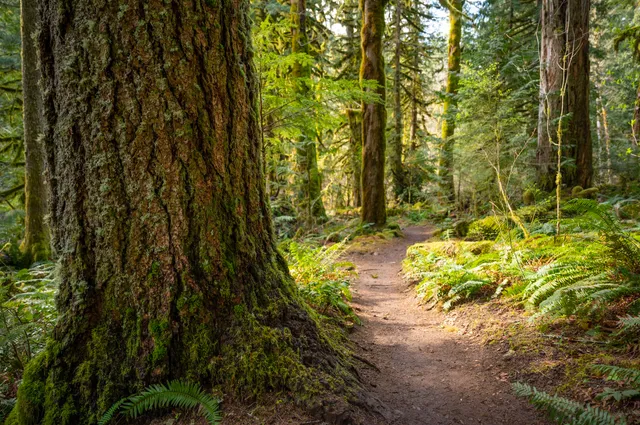 Salmon River Trailhead