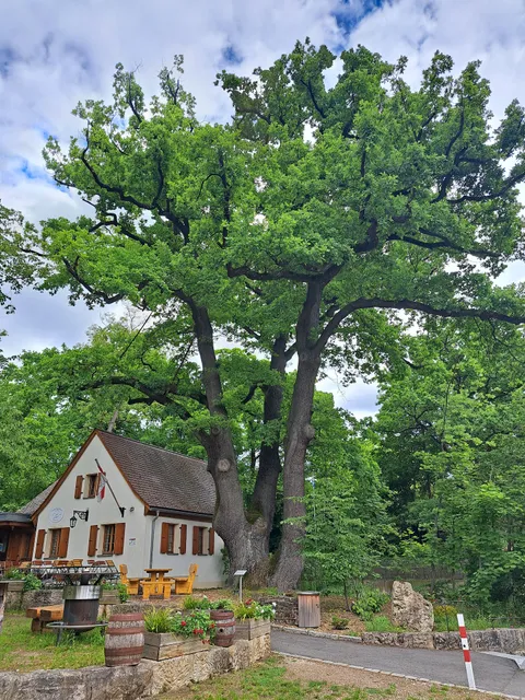 Kellerbergverein Höchstadt a.d. Aisch 1991 e.V.