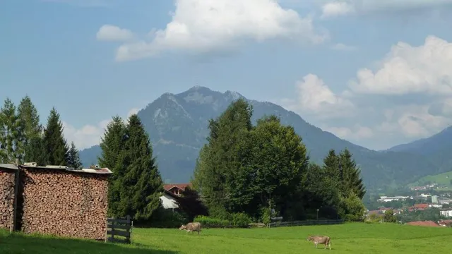 Ferienwohnungen Bergblick