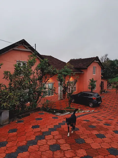 Cherry Blossoms Coorg Stay