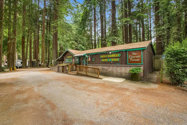 Emerald Forest Cabins & RV