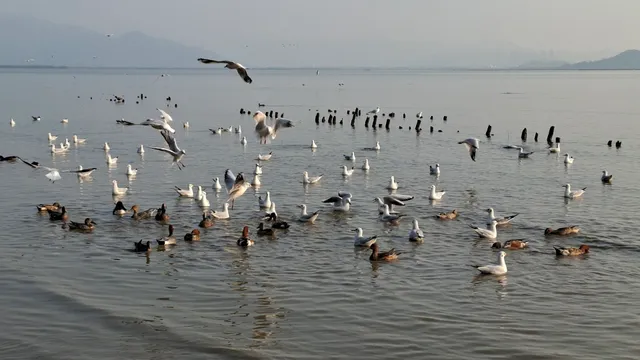 Yanlaiju Seafood Restaurant