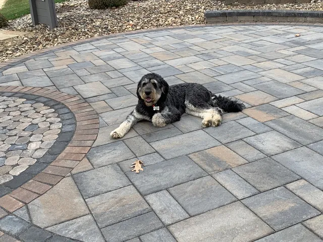 Curb Appeal - Landscaping and Lawn Care Service