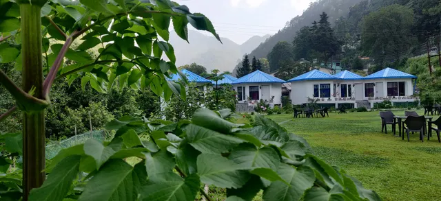 Blossom Bliss Resort