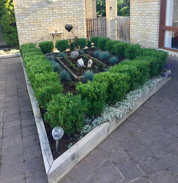 The Wombat Studio on Acton