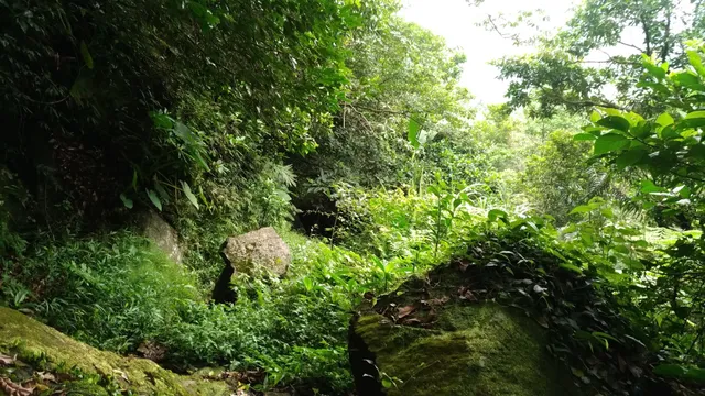 重和里大路崁登山步道
