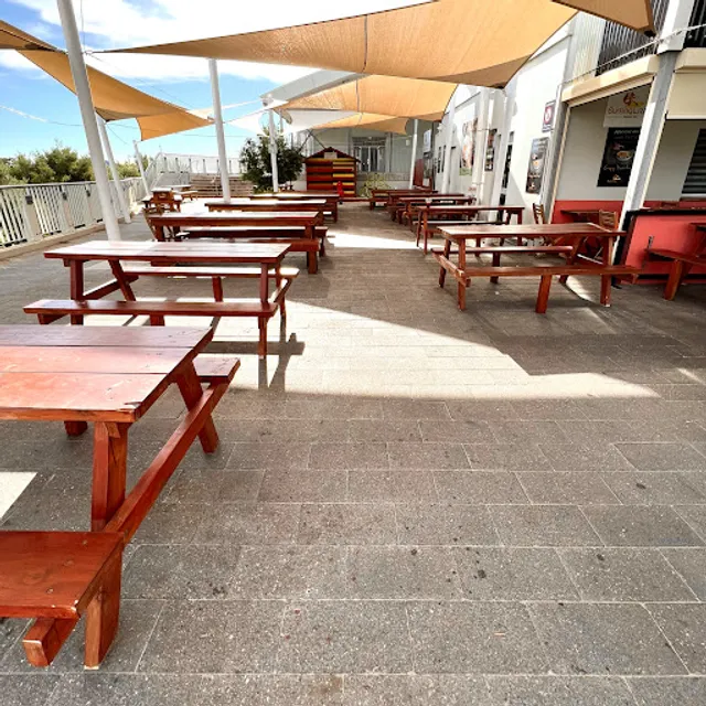 Surfing Lizard - Coogee