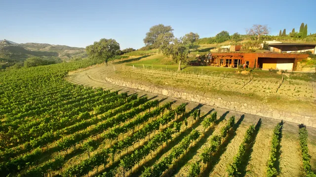 Tenuta Sanoner & Wine Loft