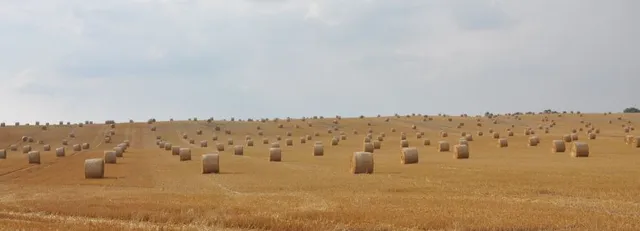 Ferienwohnung Uckermark Battin