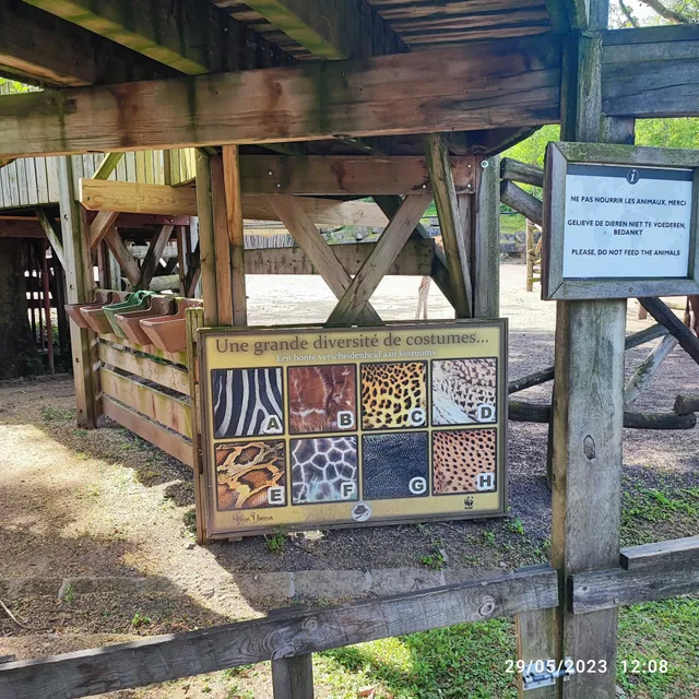 PairiDaizaFoundationShop