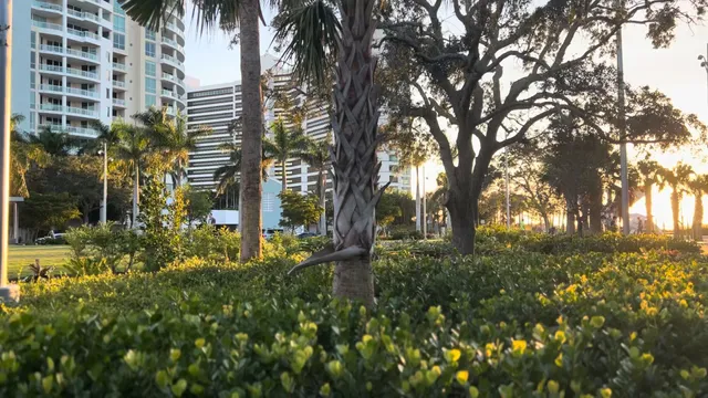 Ibis Playground at The Bay
