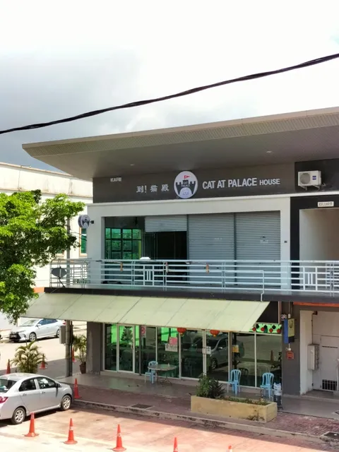 Cat at Palace House 到！猫殿