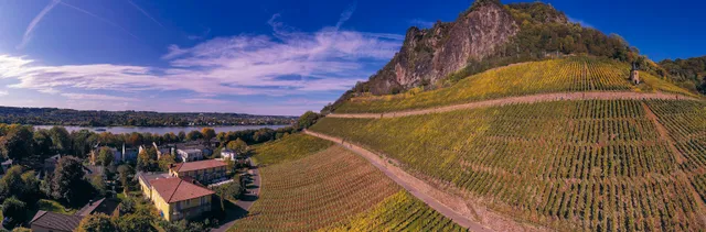 Weingut Pieper - Vinothek & Hotel am Drachenfels