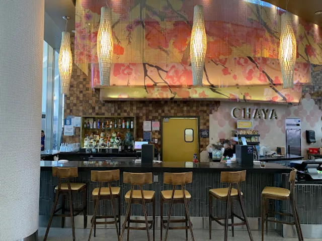 Chaya Bar