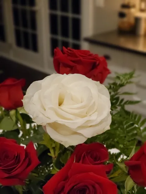 Alpine Florist & Gifts