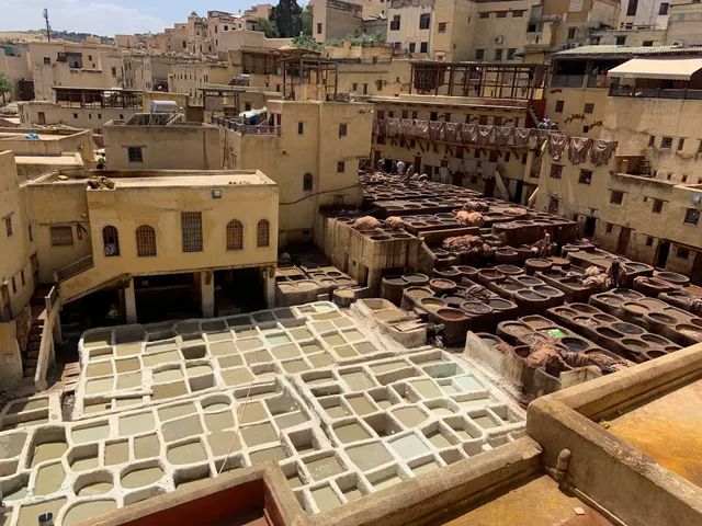 مدخل دار الدبغ شوارة Principal Dor Of Tanneries Chouarra