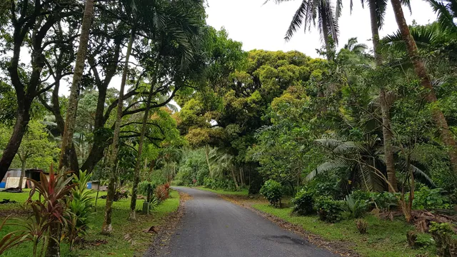 Te Rua Manga (The Needle)