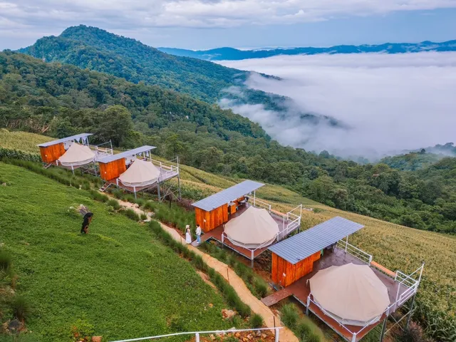 ชิวชิวแคมป์ภูชี้ฟ้า Chill Chill Camp