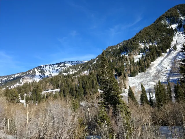 Snowbird Conference Services